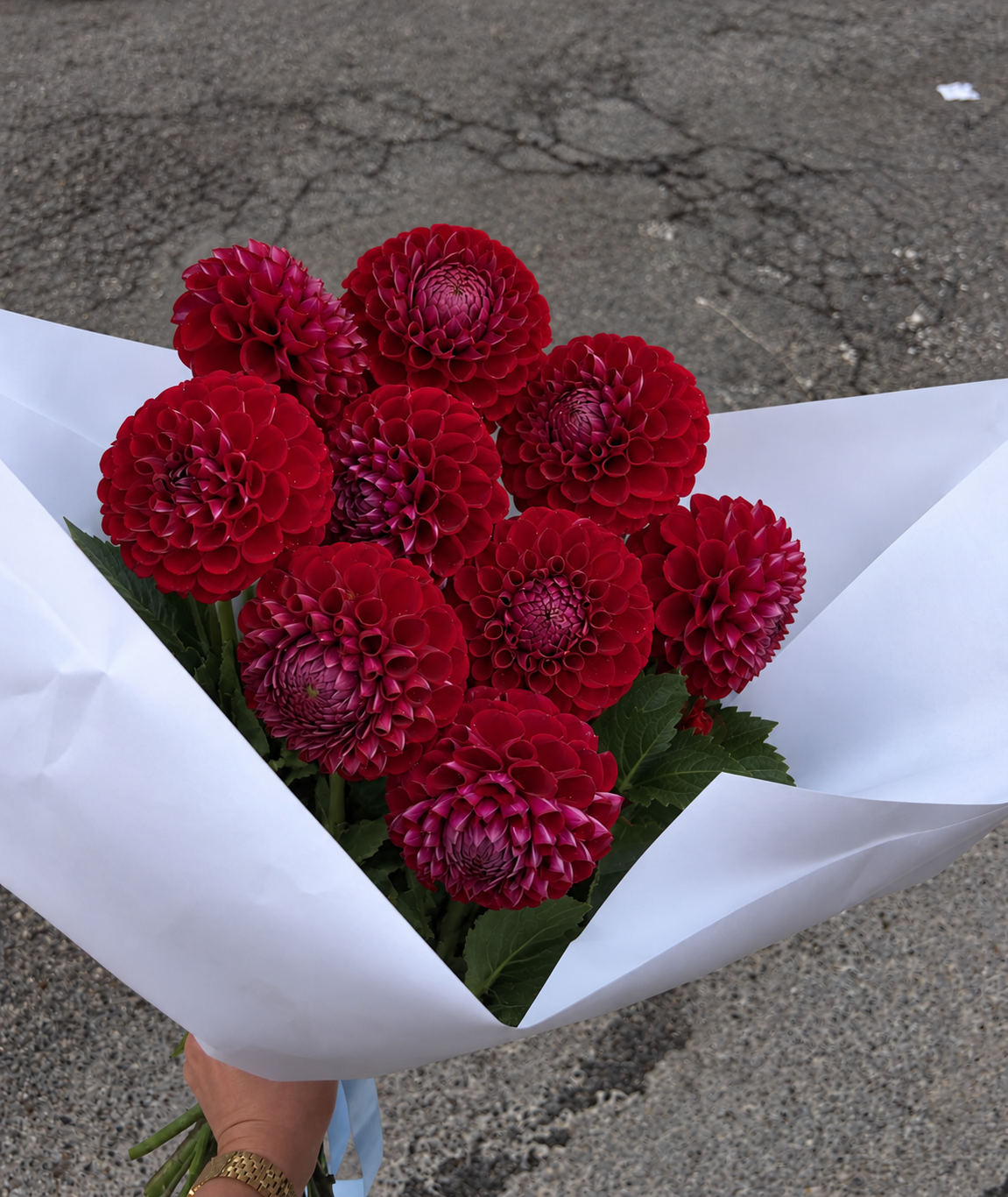 BOTTE DE CHRYSANTHÈMES