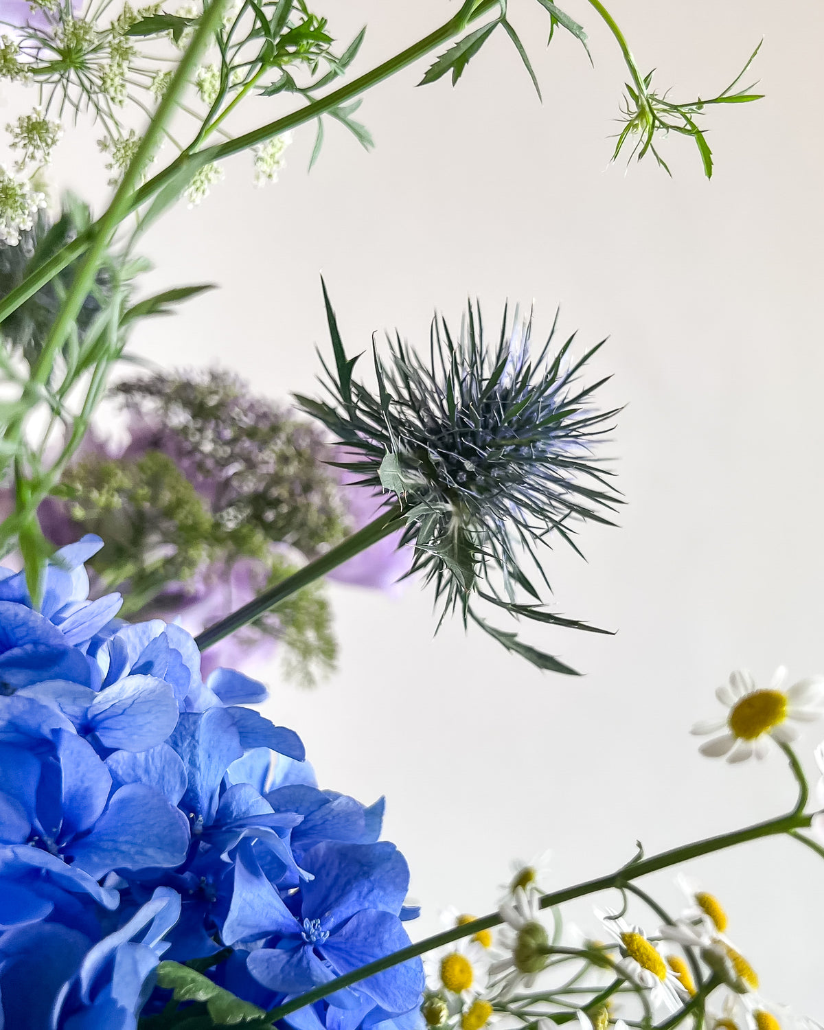 GIVERNY