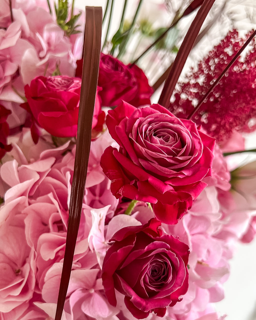 ROSÉE