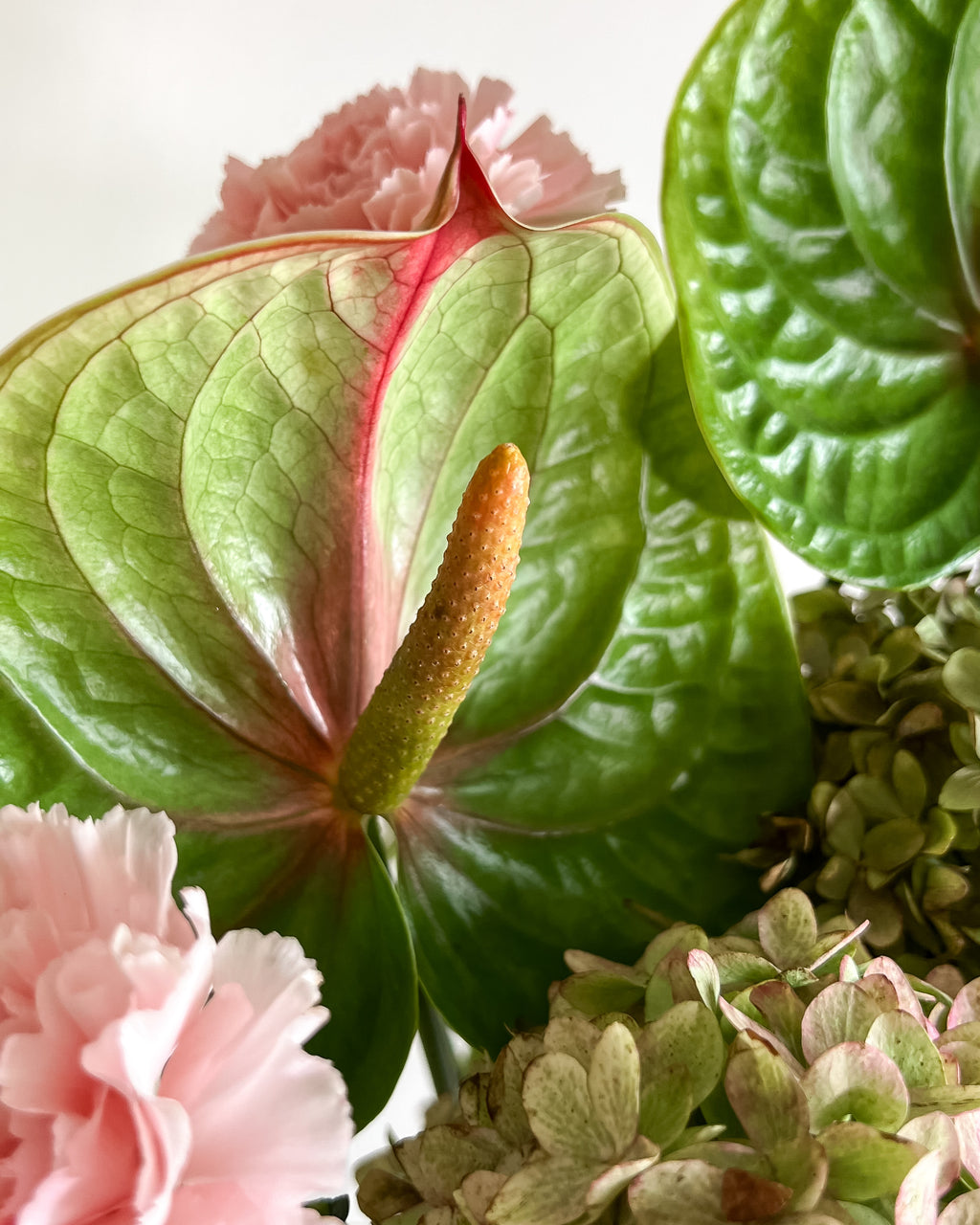 FLORAL BLUSH