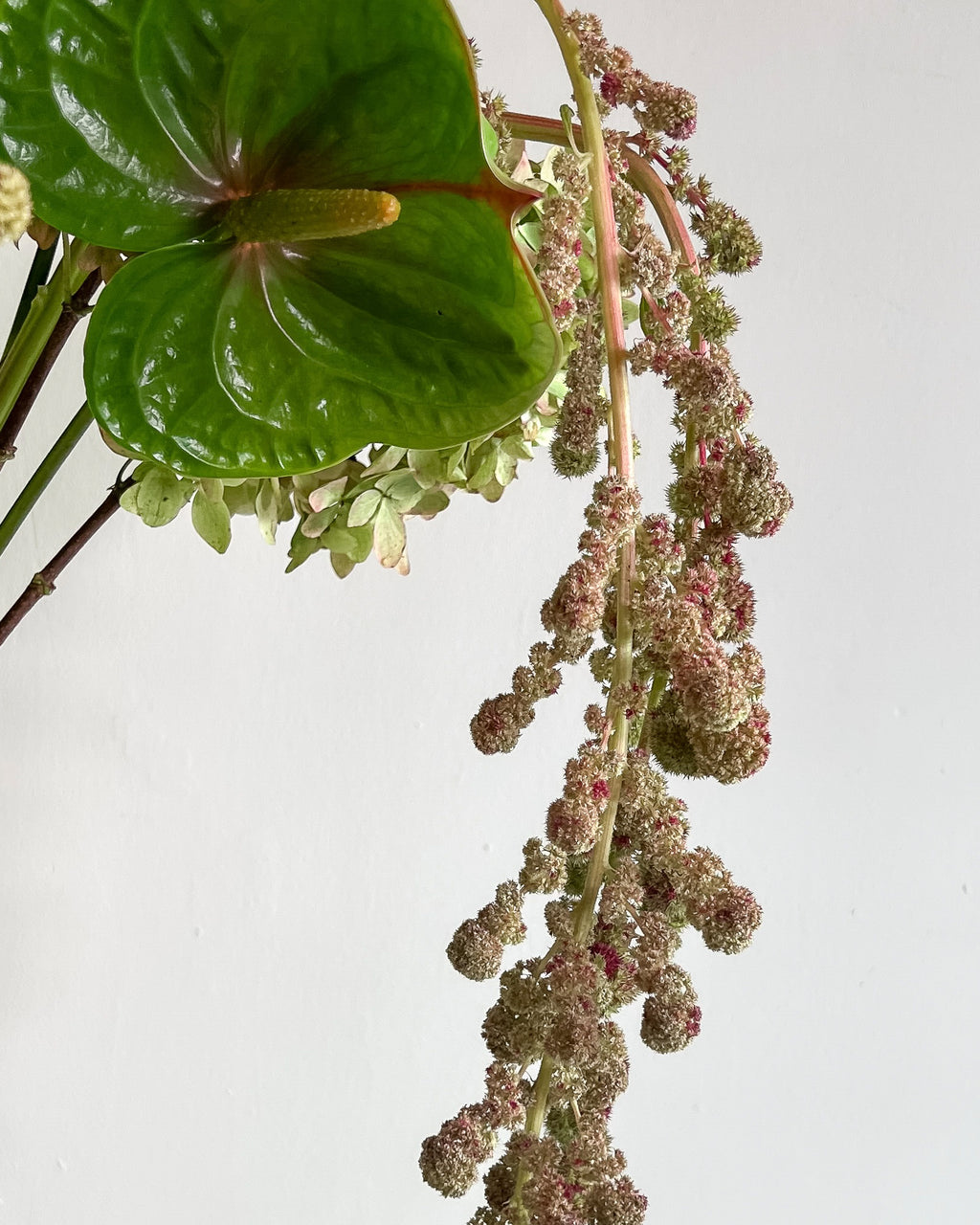 FLORAL BLUSH