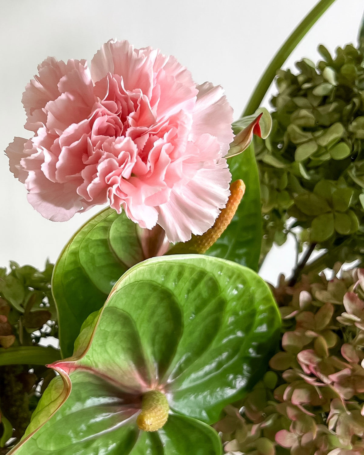 FLORAL BLUSH
