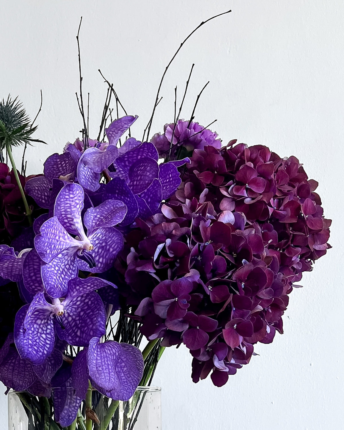 PURPLE RAIN