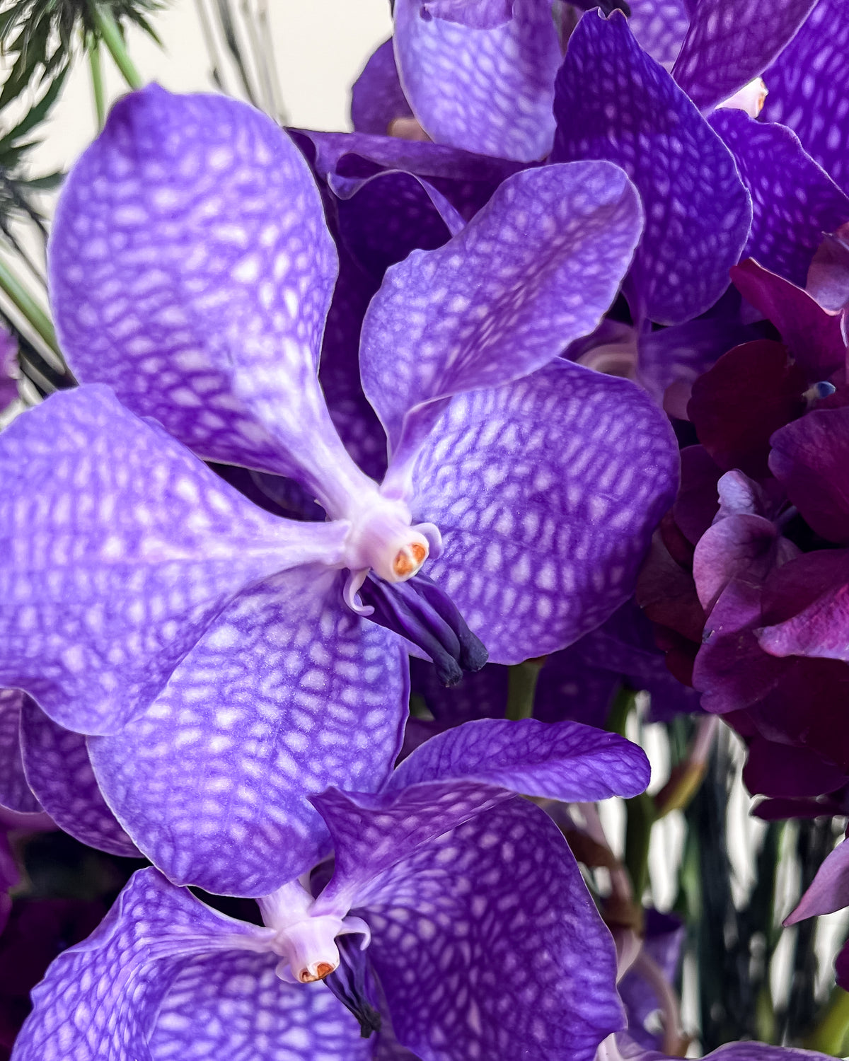 PURPLE RAIN
