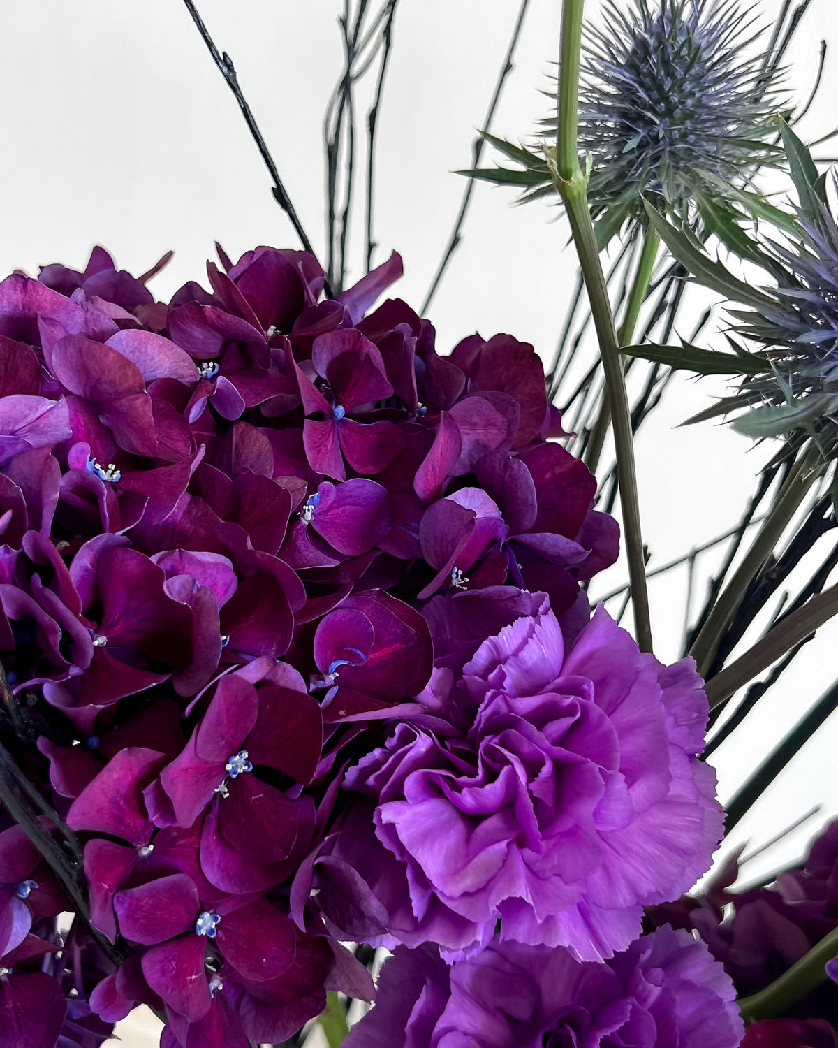 PURPLE RAIN