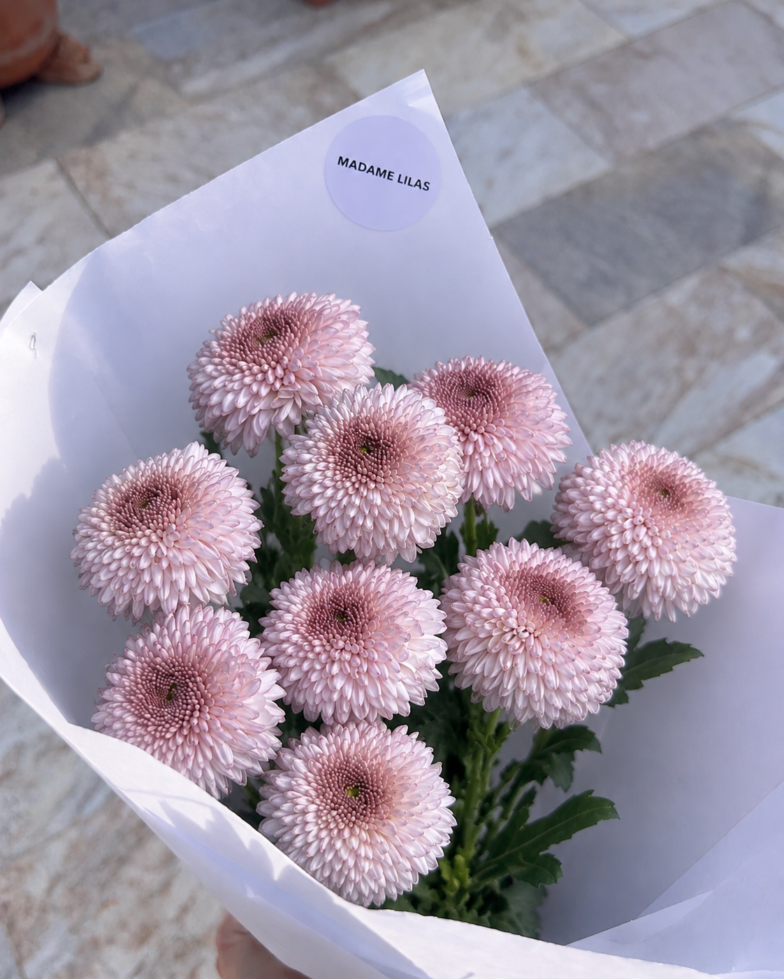 BOTTE DE CHRYSANTHÈMES